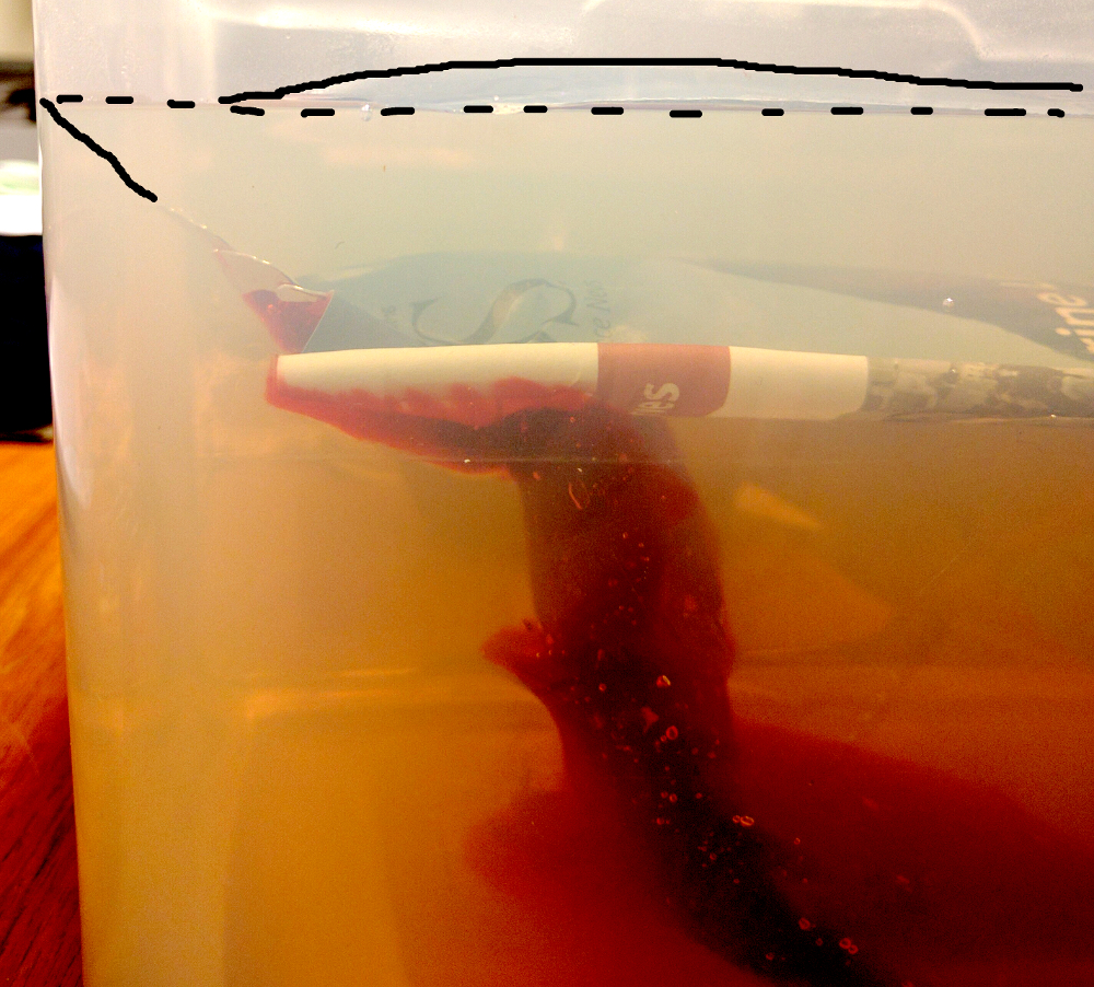 Arrested Gelatin Dike Annotated